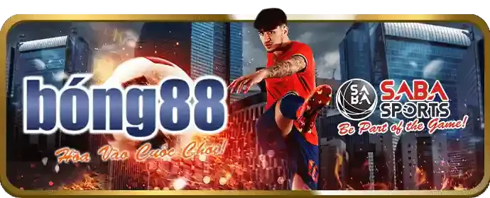 Liên hệ dịch vụ khách hàng rg88